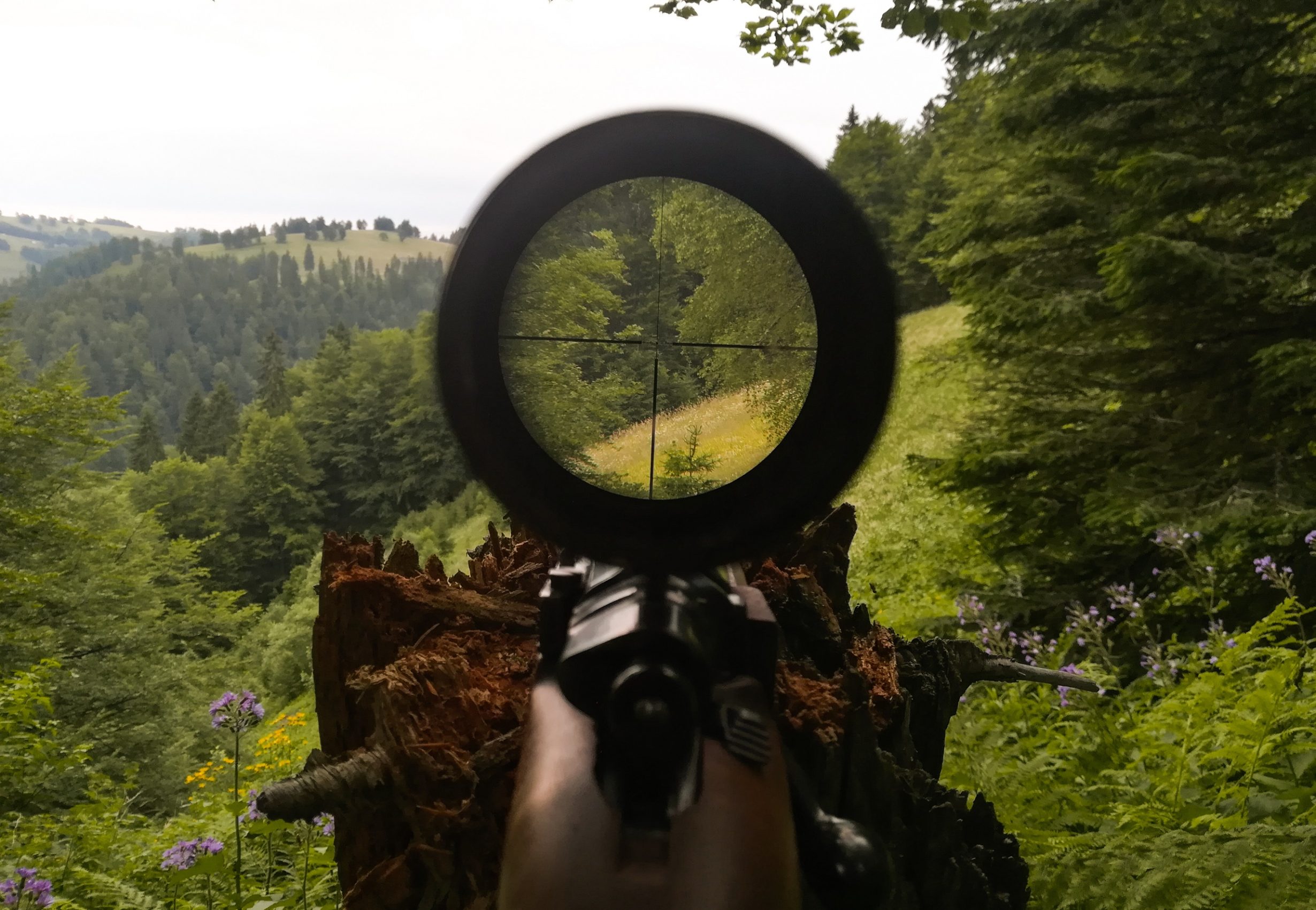 View,Through,The,Scope,From,Hunter's,Spot.